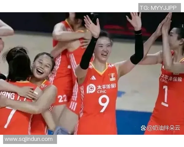 上海排球队技术争议引发热议球迷与专家各抒己见探讨战术与表现