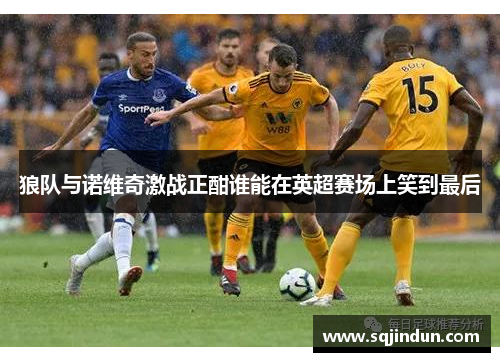 狼队与诺维奇激战正酣谁能在英超赛场上笑到最后