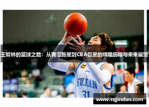 王哲林的篮球之路：从青涩新星到CBA巨星的辉煌历程与未来展望