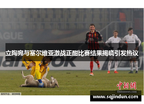 立陶宛与塞尔维亚激战正酣比赛结果揭晓引发热议